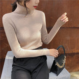 Female Knitting Sweater Chic Solid Women Turtleneck Pullover Sweater kawaii Long Sleeve Winter Warm Sweater Thick Pullovers