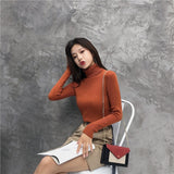 Female Knitting Sweater Chic Solid Women Turtleneck Pullover Sweater kawaii Long Sleeve Winter Warm Sweater Thick Pullovers