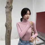 Female Knitting Sweater Chic Solid Women Turtleneck Pullover Sweater kawaii Long Sleeve Winter Warm Sweater Thick Pullovers