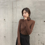 Female Knitting Sweater Chic Solid Women Turtleneck Pullover Sweater kawaii Long Sleeve Winter Warm Sweater Thick Pullovers