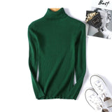Slim Soft Sweater women winter 2019 Autumn turtleneck Sweater knit Thick Pullover oversize femme Jumpers ladies black sweaters
